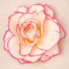 Topvintage Boutique Collection Haarschmuck | Hinreisende Rose Haarspange In Pink