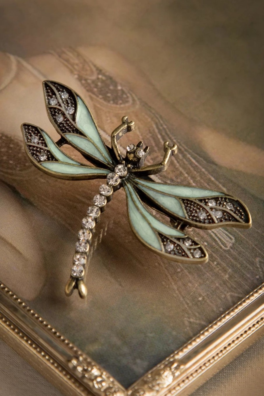 Lovely Schmuck | How To Train Your Dragonfly Brosche