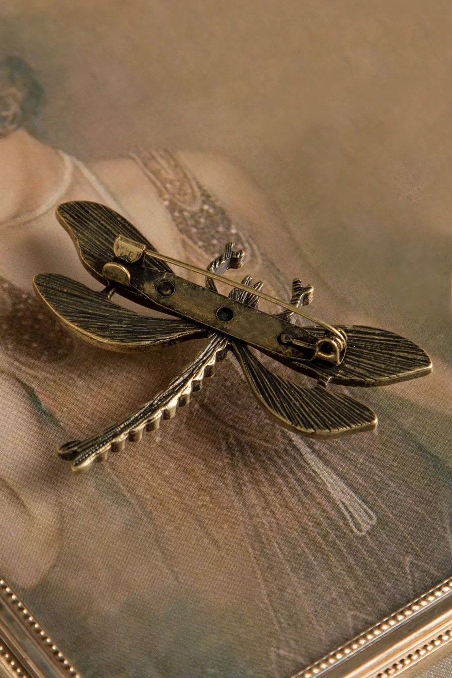 Lovely Schmuck | How To Train Your Dragonfly Brosche